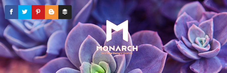 image-sharing-social-media-wordpress-plugins-monarch